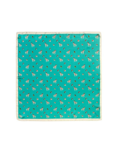 Art Of Polo šalikas