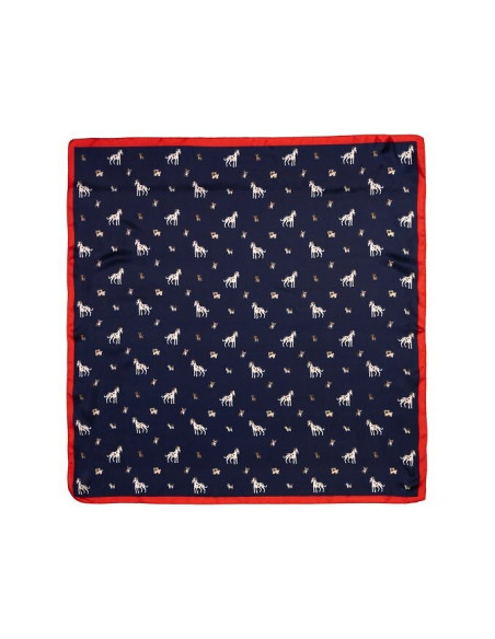 Art Of Polo šalikas