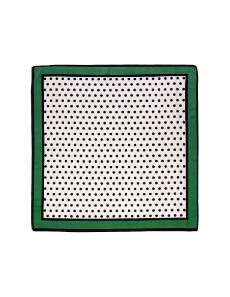 Art Of Polo šalikas