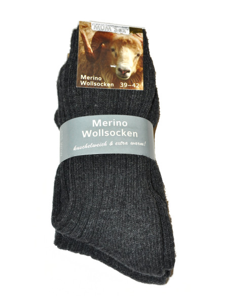 Ulpio kojinės žiemai