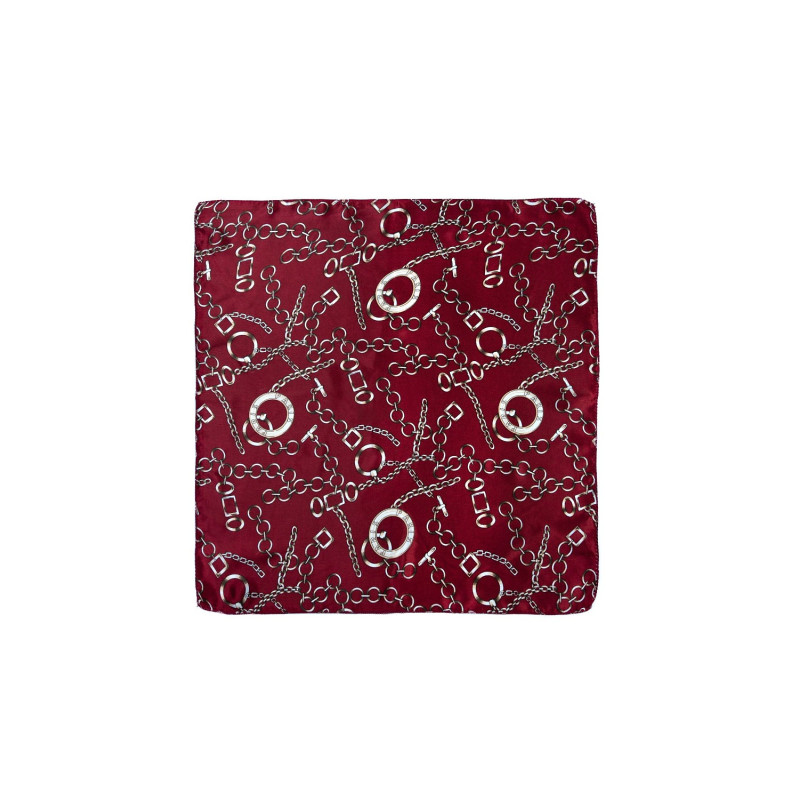 Art Of Polo šalikas 2