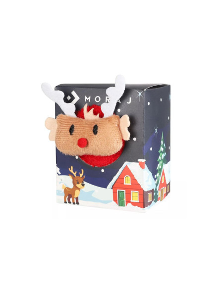 Moraj kojinės žiemai