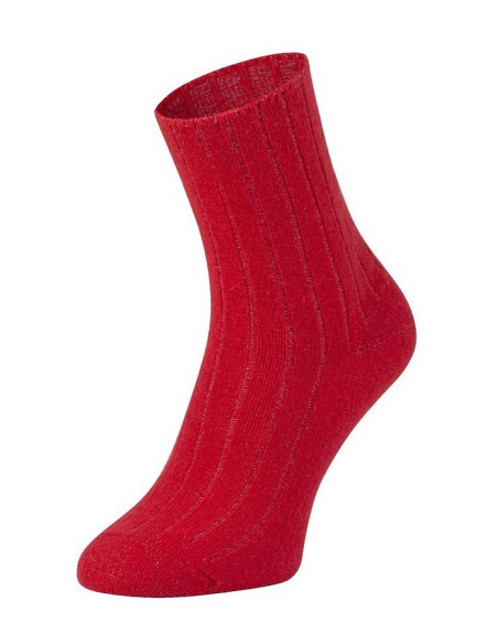 Cerber kojinės žiemai