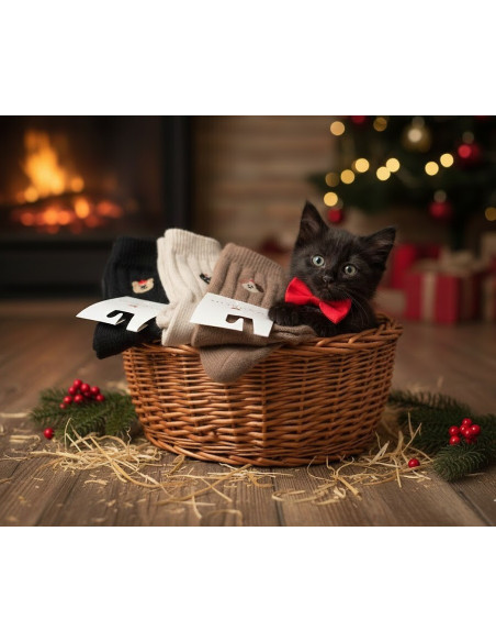 Magnetis kojinės žiemai